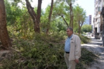 Ренат Сулейманов помог обрезать аварийные деревья в Центральном районе